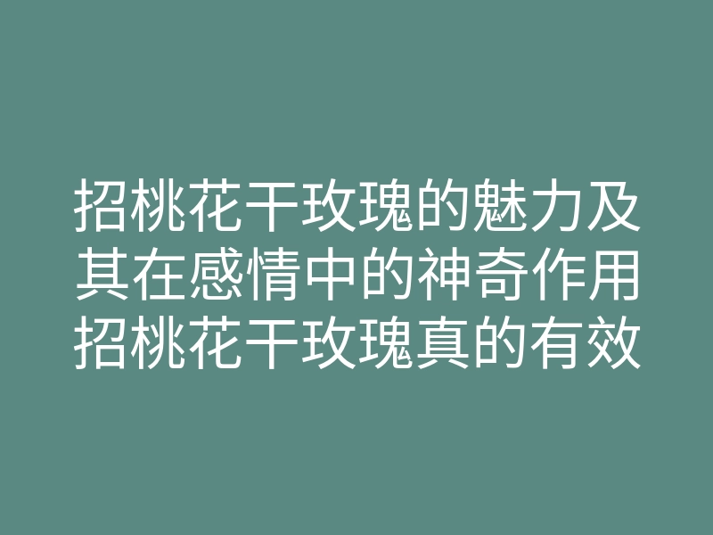 招桃花干玫瑰的魅力及其在感情中的神奇作用招桃花干玫瑰真的有效吗