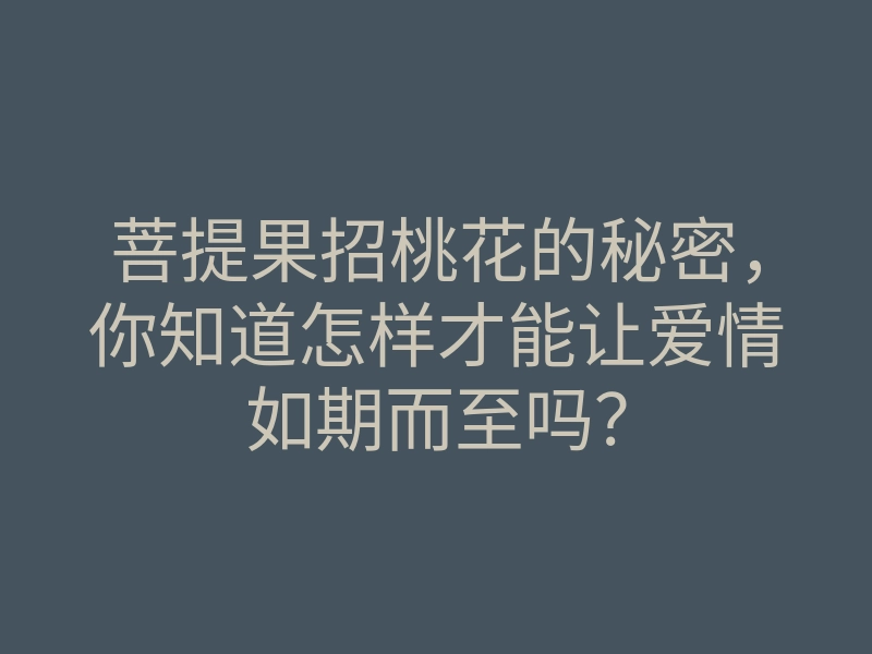 菩提果招桃花的秘密,你知道怎样才能让爱情如期而至吗?