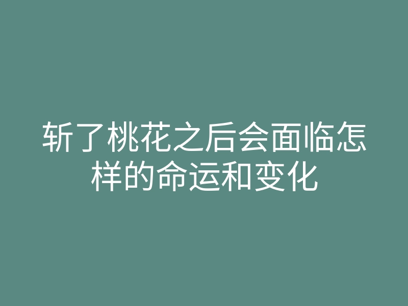 斩了桃花之后会面临怎样的命运和变化