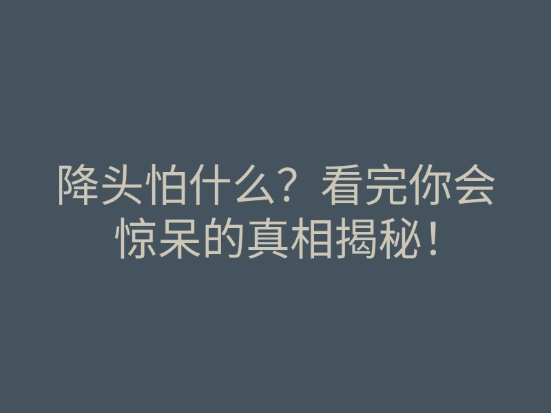 降头怕什么?看完你会惊呆的真相揭秘!