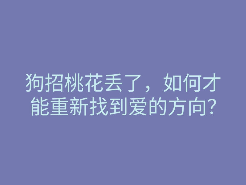 狗招桃花丢了,如何才能重新找到爱的方向?