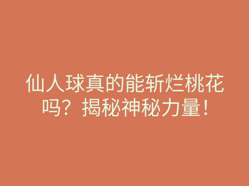 仙人球真的能斩烂桃花吗?揭秘神秘力量!