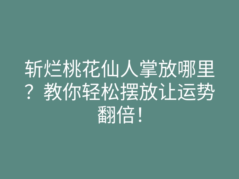 斩烂桃花仙人掌放哪里?教你轻松摆放让运势翻倍!