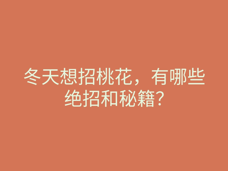 冬天想招桃花,有哪些绝招和秘籍?