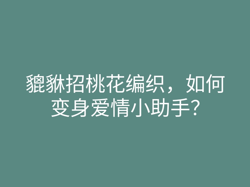 貔貅招桃花编织,如何变身爱情小助手?
