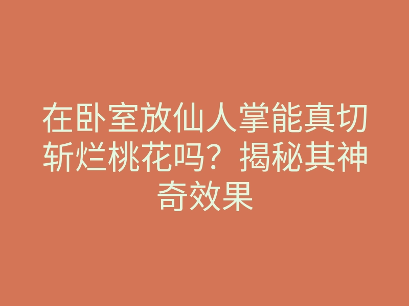 在卧室放仙人掌能真切斩烂桃花吗?揭秘其神奇效果