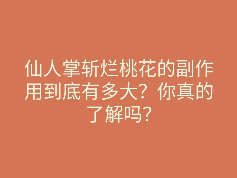 仙人掌斩烂桃花的副作用到底有多大？你真的了解吗？