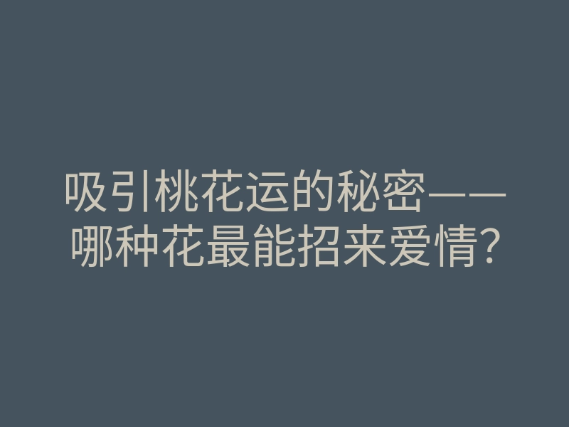 吸引桃花运的秘密——哪种花最能招来爱情?