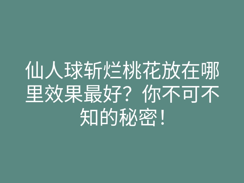 仙人球斩烂桃花放在哪里效果最好?你不可不知的秘密!