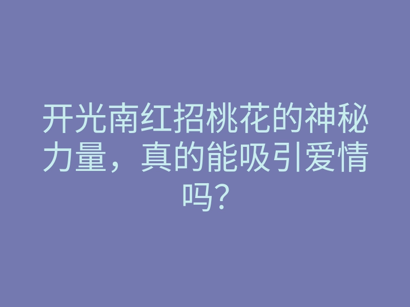 开光南红招桃花的神秘力量,真的能吸引爱情吗?