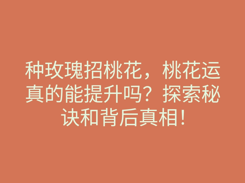 种玫瑰招桃花,桃花运真的能提升吗?探索秘诀和背后真相!
