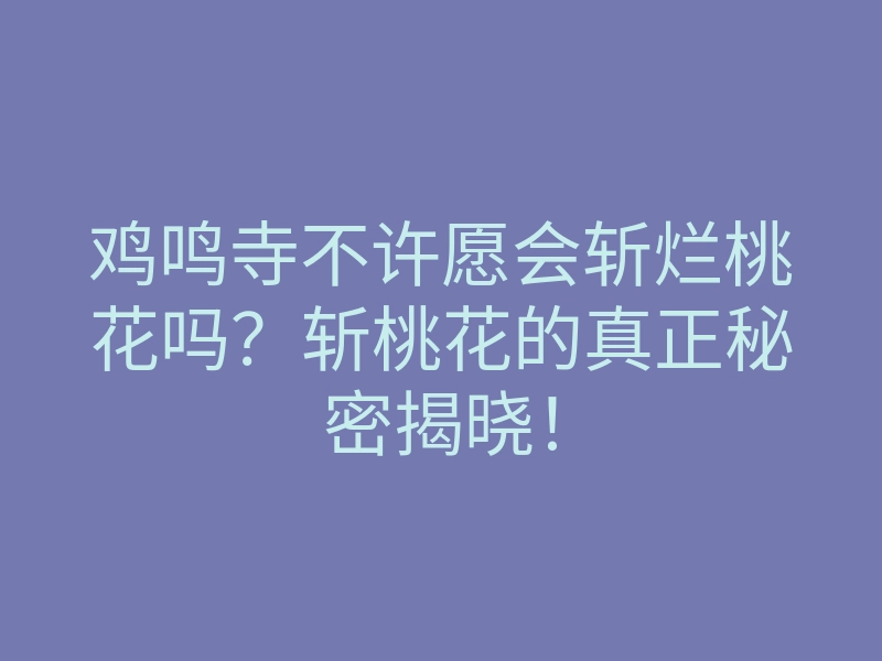 鸡鸣寺不许愿会斩烂桃花吗?斩桃花的真正秘密揭晓!