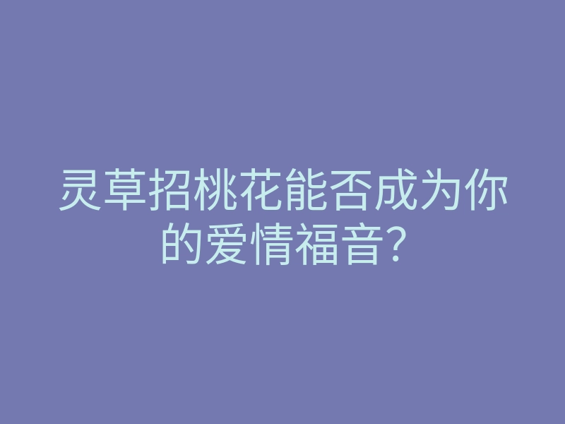 灵草招桃花能否成为你的爱情福音?