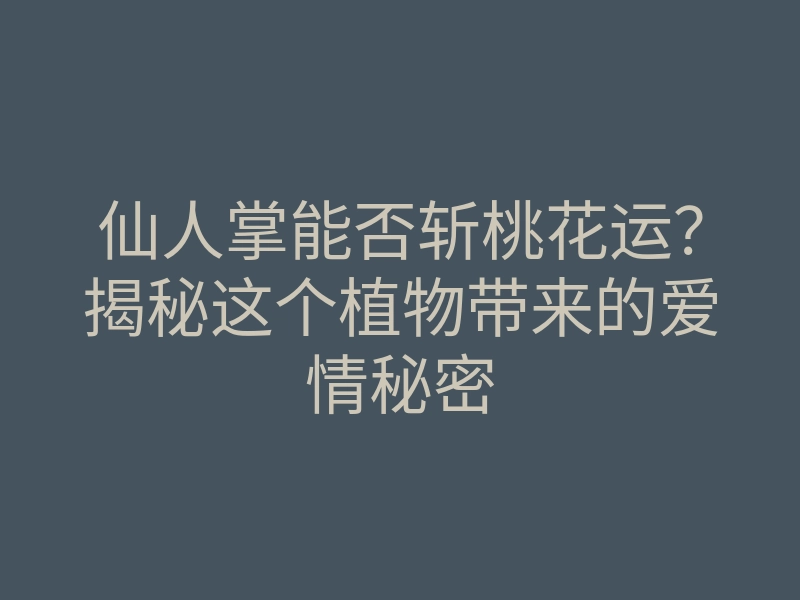 仙人掌能否斩桃花运?揭秘这个植物带来的爱情秘密