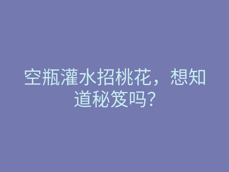 空瓶灌水招桃花,想知道秘笈吗?
