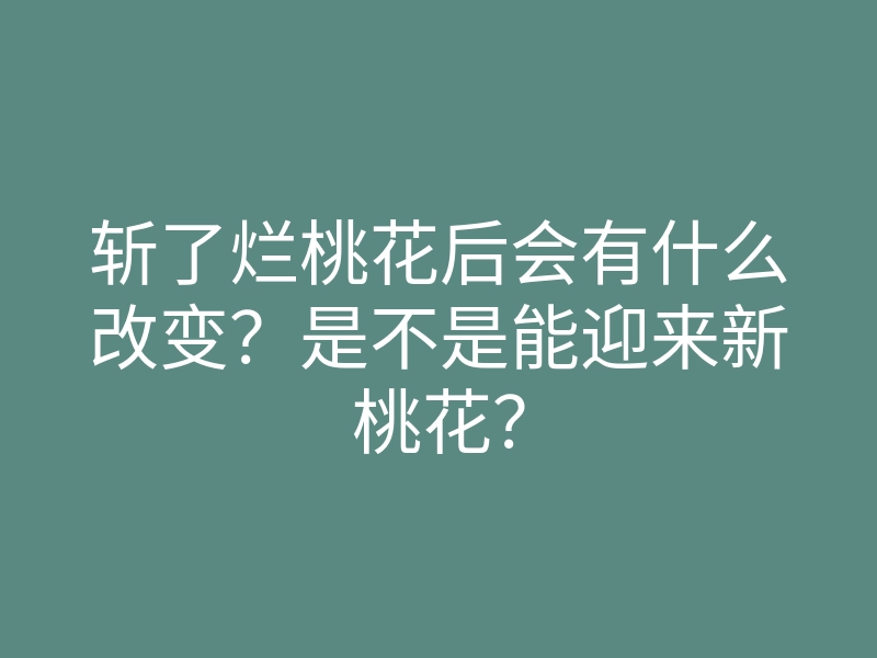 斩了烂桃花后会有什么改变?是不是能迎来新桃花?