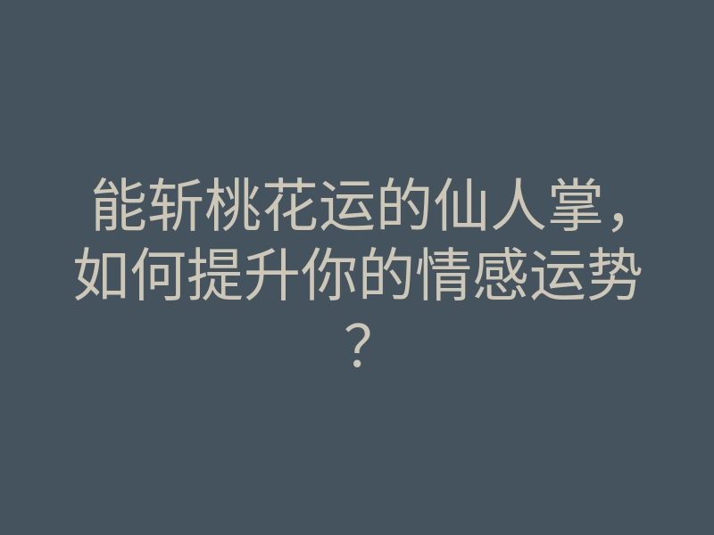 能斩桃花运的仙人掌,如何提升你的情感运势?