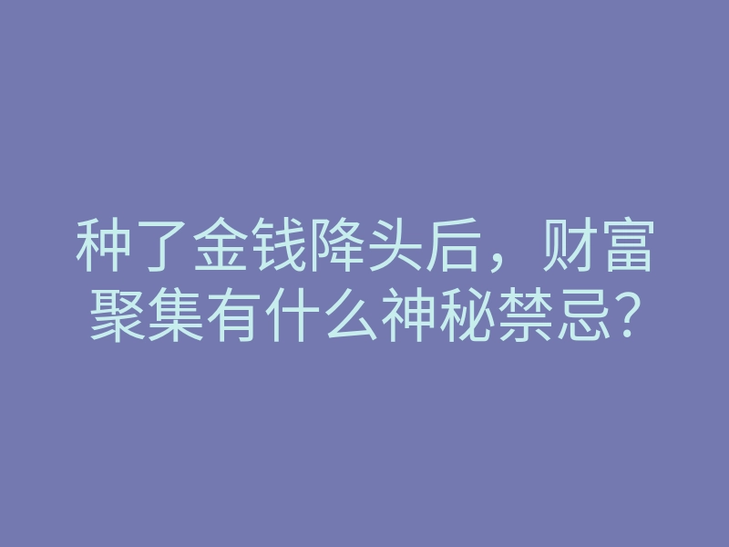 种了金钱降头后,财富聚集有什么神秘禁忌?