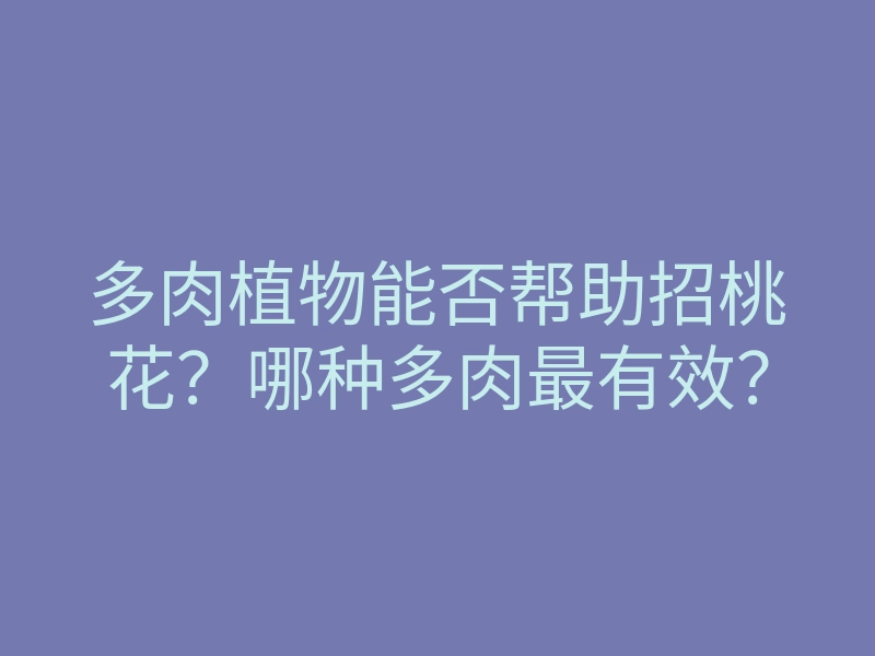 多肉植物能否帮助招桃花?哪种多肉最有效?