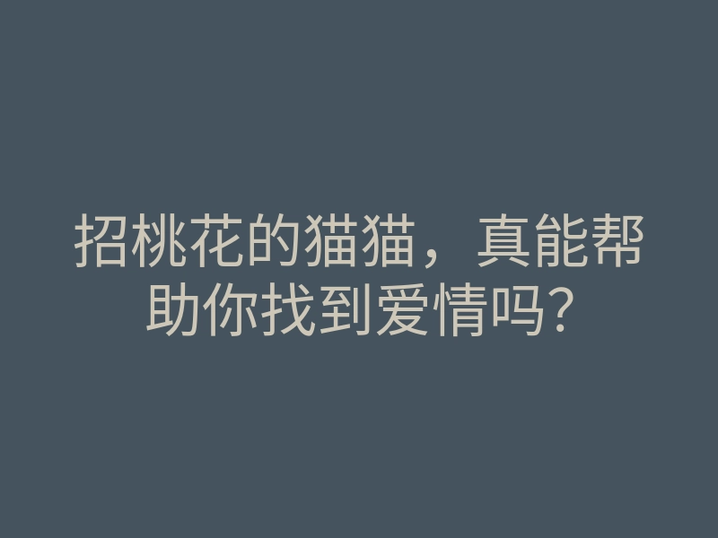 招桃花的猫猫,真能帮助你找到爱情吗?