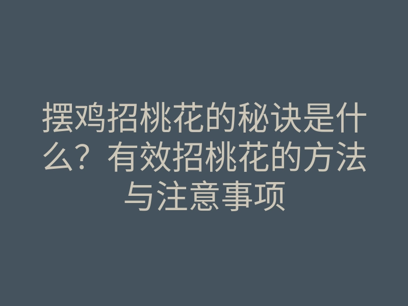 摆鸡招桃花的秘诀是什么?有效招桃花的方法与注意事项