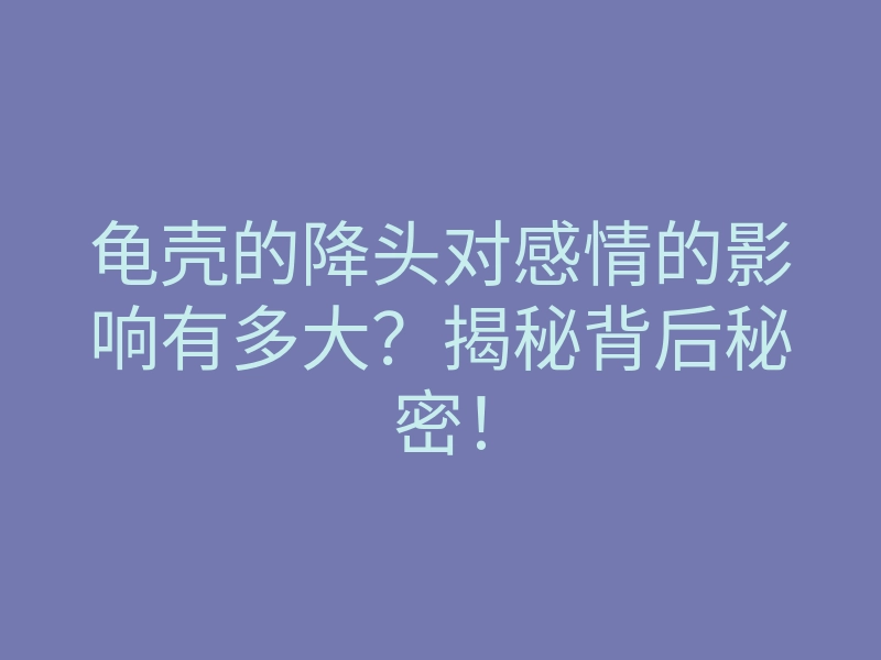 龟壳的降头对感情的影响有多大?揭秘背后秘密!