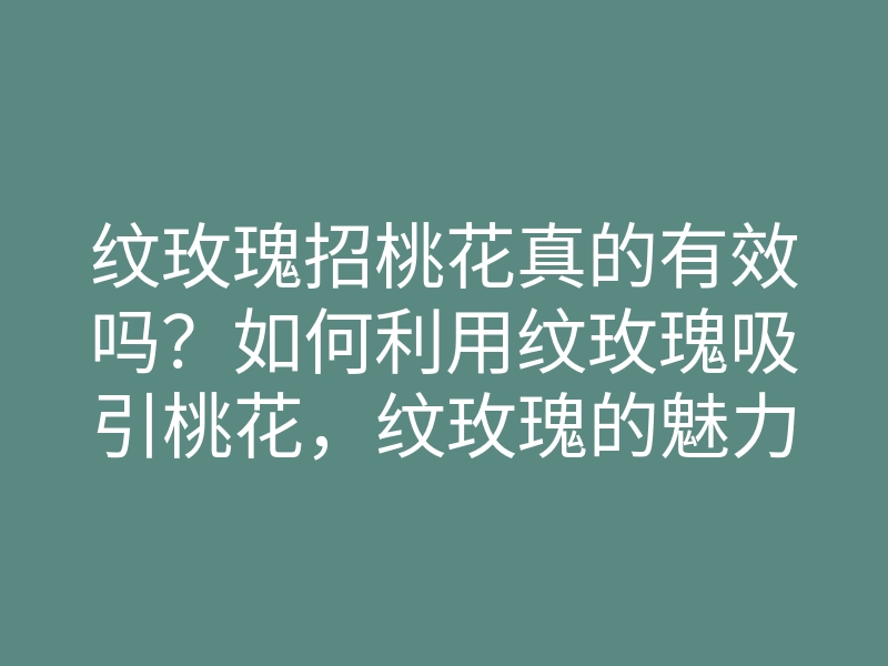 纹玫瑰招桃花真的有效吗?如何利用纹玫瑰吸引桃花,纹玫瑰的魅力揭秘