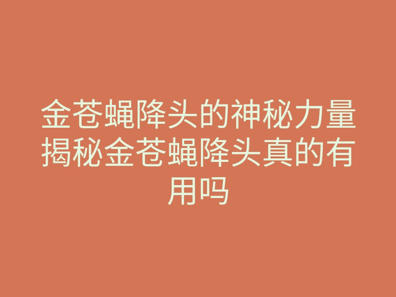 金苍蝇降头的神秘力量揭秘金苍蝇降头真的有用吗