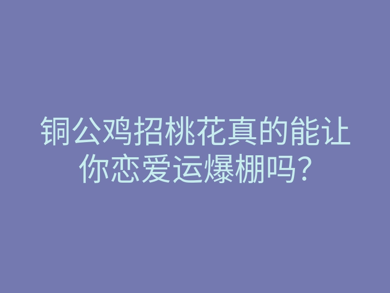 铜公鸡招桃花真的能让你恋爱运爆棚吗？