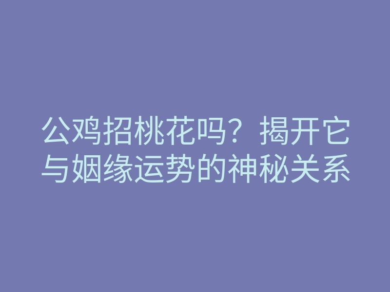 公鸡招桃花吗?揭开它与姻缘运势的神秘关系