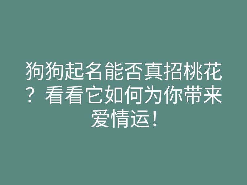 狗狗起名能否真招桃花?看看它如何为你带来爱情运!