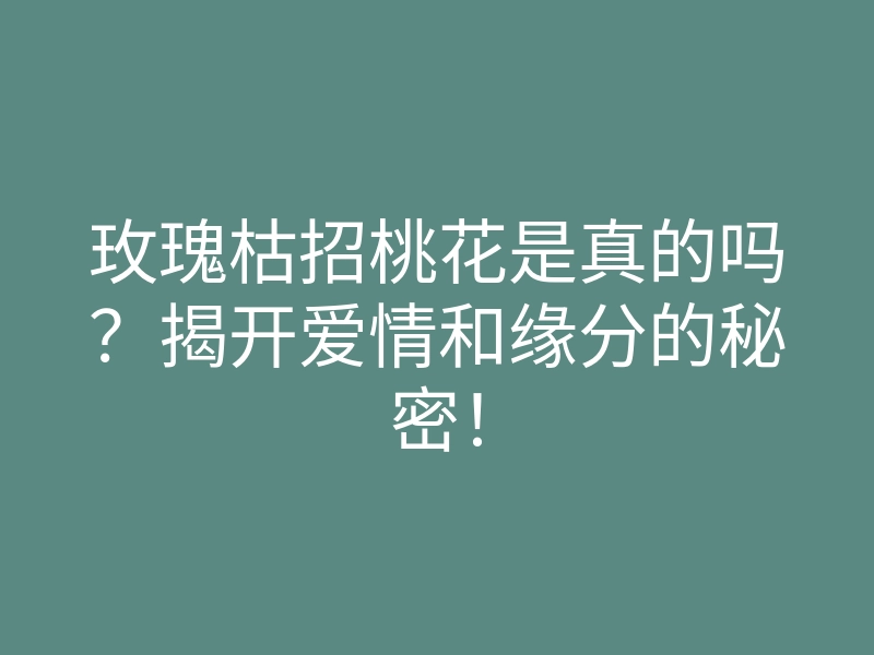 玫瑰枯招桃花是真的吗？揭开爱情和缘分的秘密！