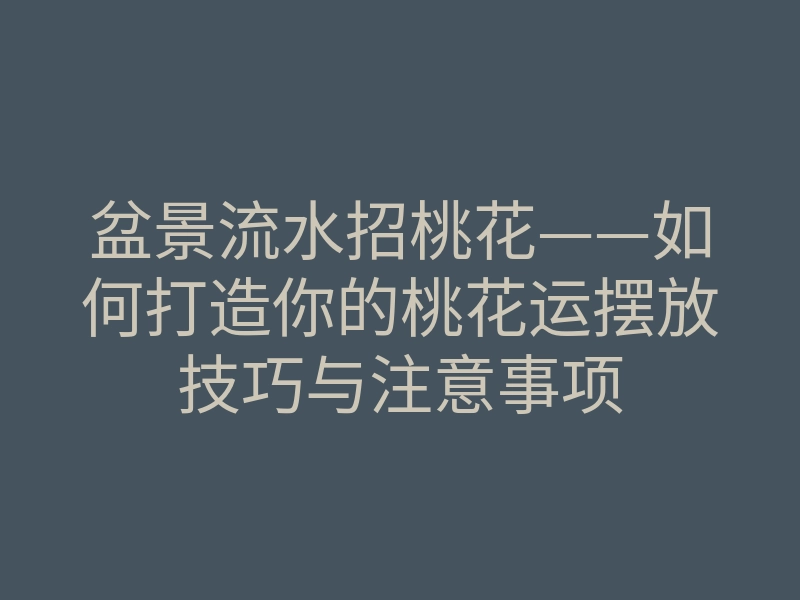 盆景流水招桃花——如何打造你的桃花运摆放技巧与注意事项