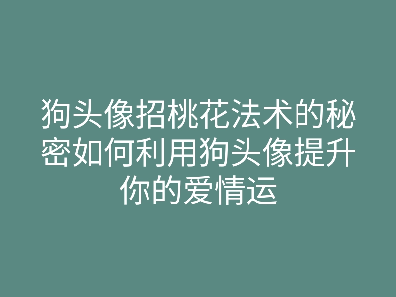 狗头像招桃花法术的秘密如何利用狗头像提升你的爱情运