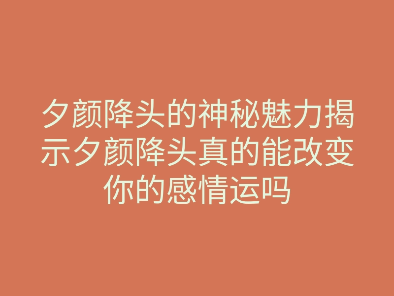 夕颜降头的神秘魅力揭示夕颜降头真的能改变你的感情运吗