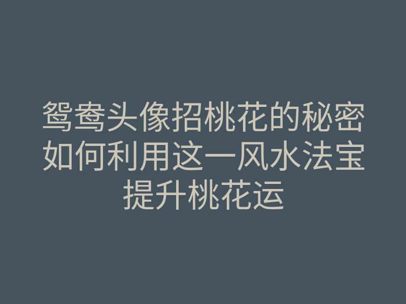 鸳鸯头像招桃花的秘密如何利用这一风水法宝提升桃花运