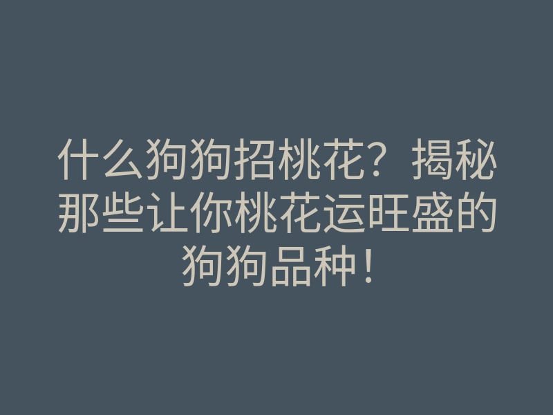什么狗狗招桃花?揭秘那些让你桃花运旺盛的狗狗品种!