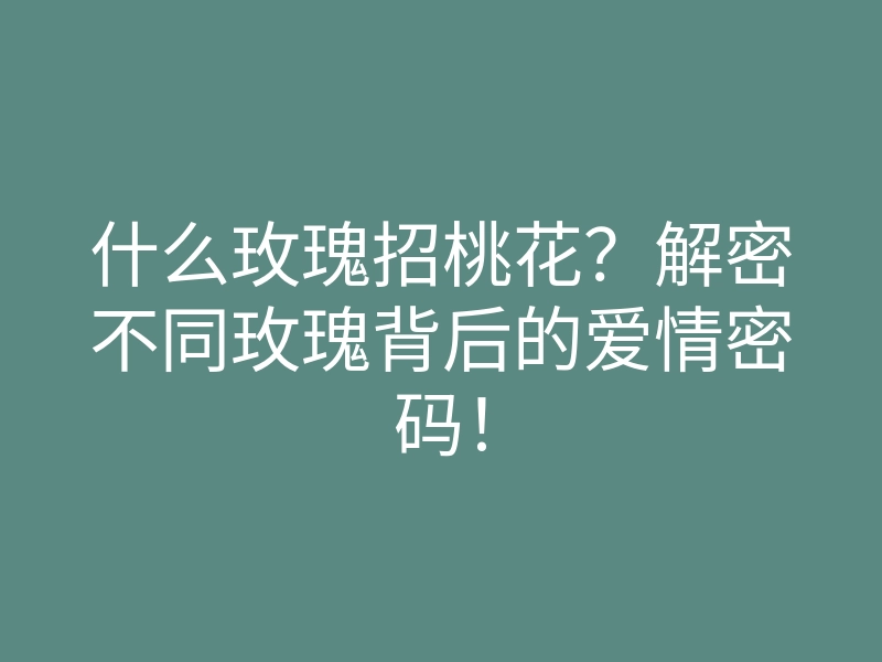 什么玫瑰招桃花?解密不同玫瑰背后的爱情密码!