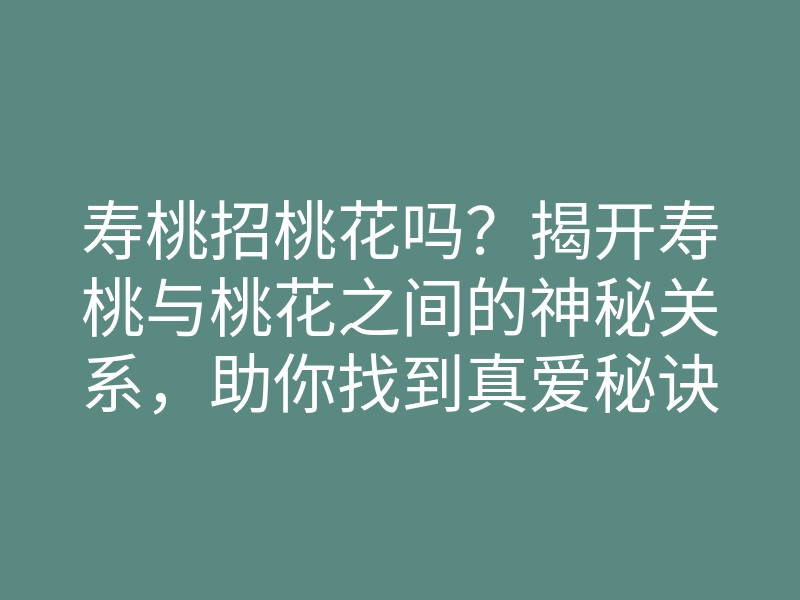 寿桃招桃花吗?揭开寿桃与桃花之间的神秘关系,助你找到真爱秘诀