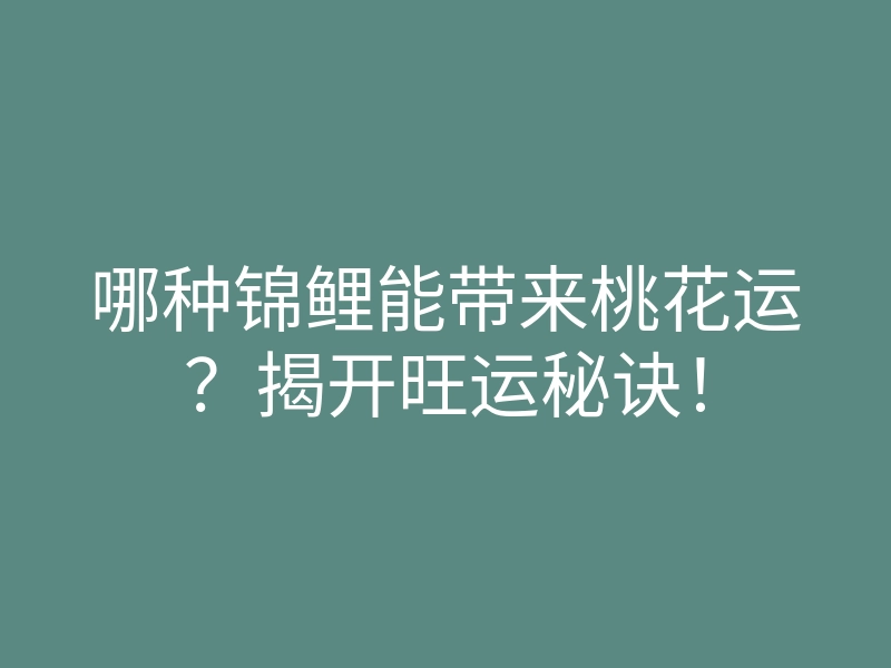 哪种锦鲤能带来桃花运?揭开旺运秘诀!