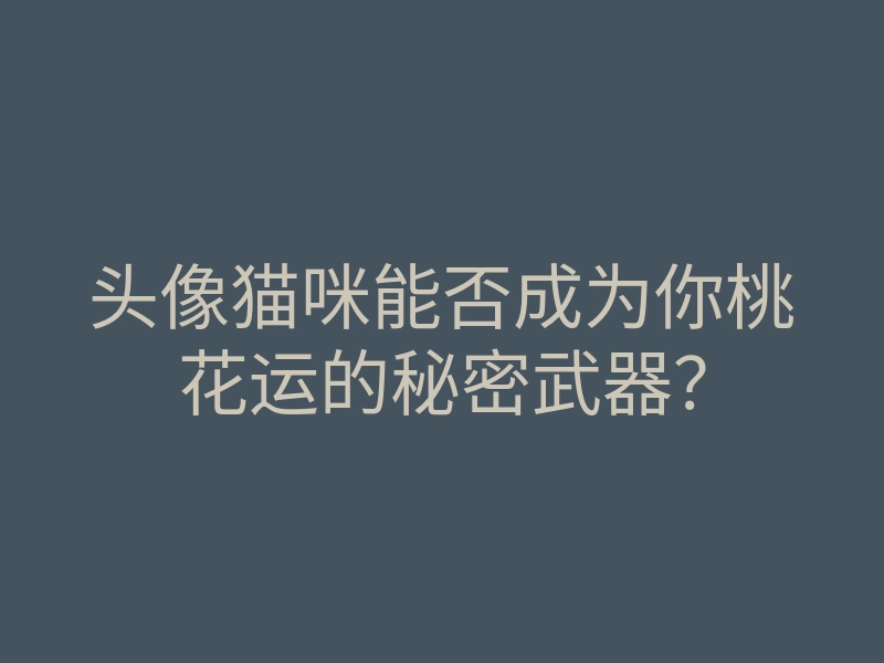 头像猫咪能否成为你桃花运的秘密武器?