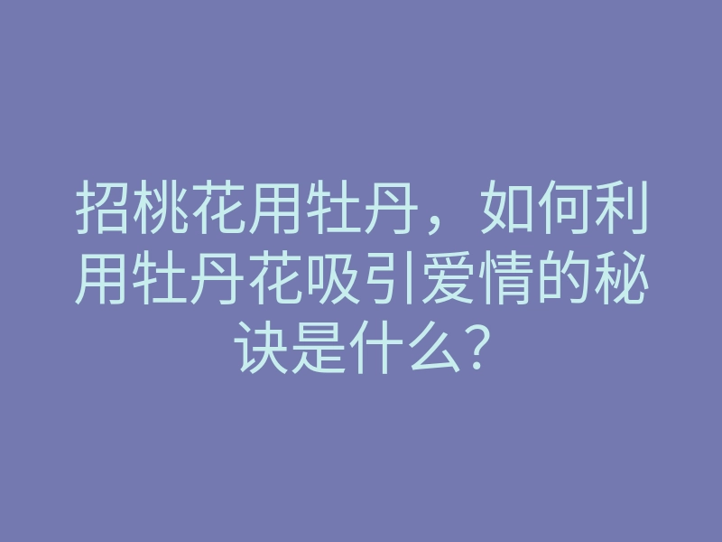 招桃花用牡丹,如何利用牡丹花吸引爱情的秘诀是什么?