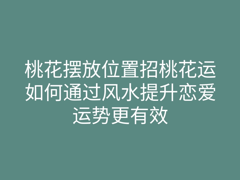 桃花摆放位置招桃花运如何通过风水提升恋爱运势更有效
