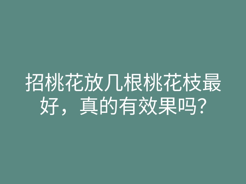 招桃花放几根桃花枝最好,真的有效果吗?