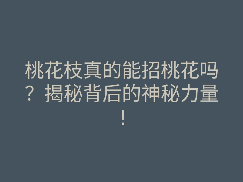 桃花枝真的能招桃花吗?揭秘背后的神秘力量!