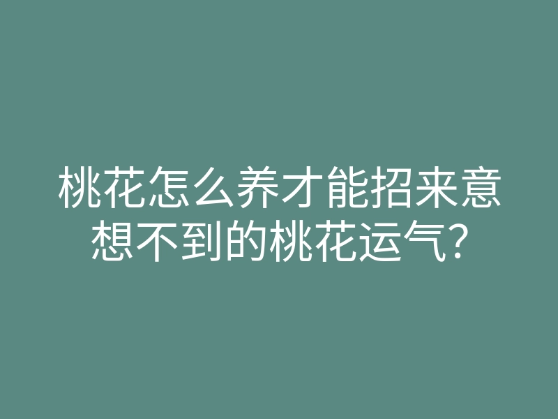 桃花怎么养才能招来意想不到的桃花运气?
