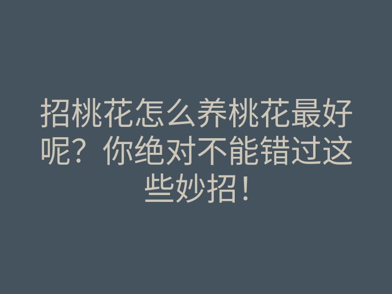 招桃花怎么养桃花最好呢?你绝对不能错过这些妙招!