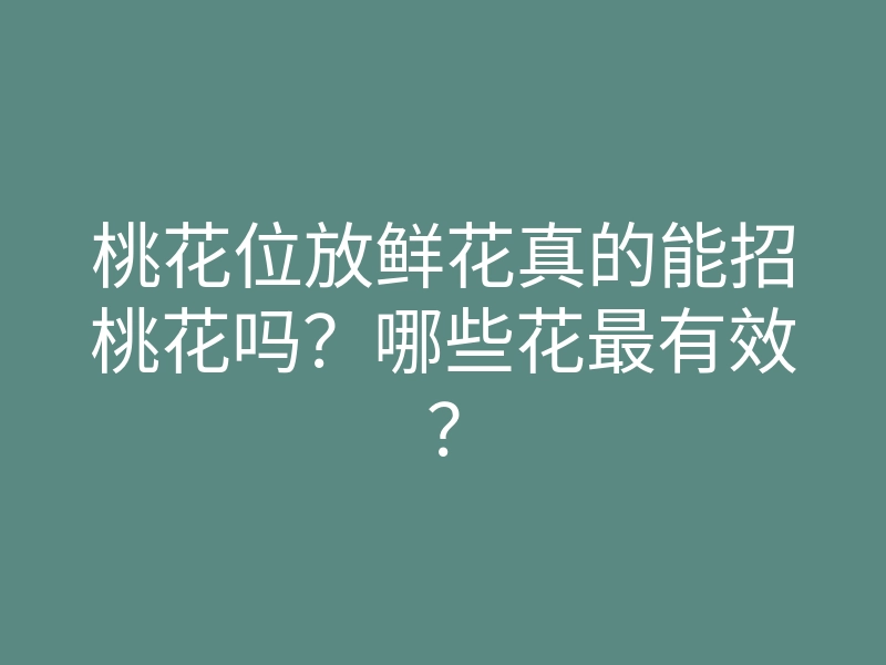 桃花位放鲜花真的能招桃花吗?哪些花最有效?