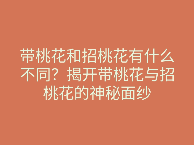 带桃花和招桃花有什么不同?揭开带桃花与招桃花的神秘面纱