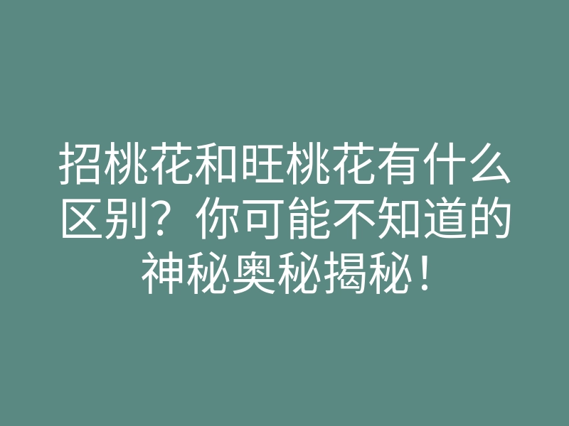 招桃花和旺桃花有什么区别?你可能不知道的神秘奥秘揭秘!